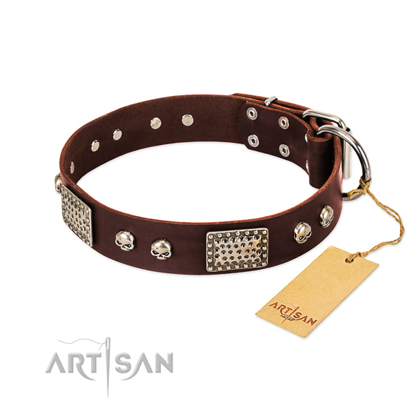 Easy wearing full grain natural leather dog collar for basic training your doggie