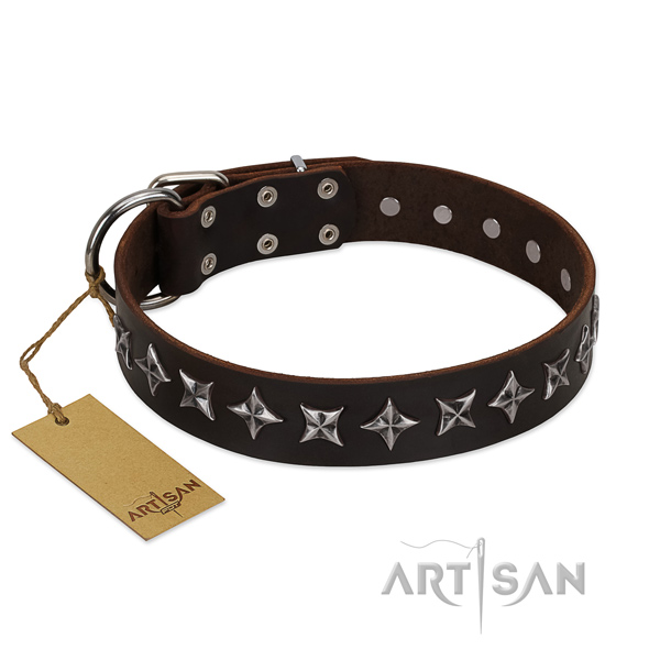 Basic training dog collar of strong full grain natural leather with decorations