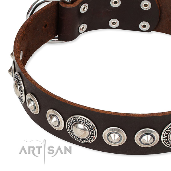 Fancy walking adorned dog collar of quality full grain natural leather