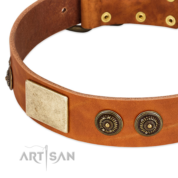 Adorned dog collar handmade for your handsome four-legged friend
