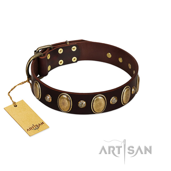 Leather dog collar of quality material with incredible adornments