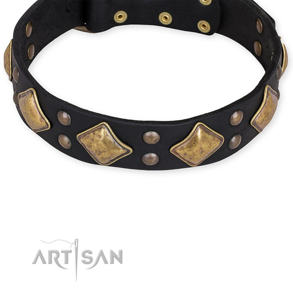 Genuine leather dog collar with stylish design corrosion proof embellishments