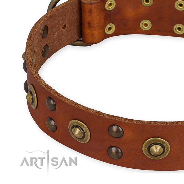 Full grain natural leather collar with strong traditional buckle for your stylish doggie