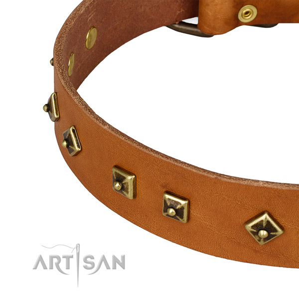 Adjustable genuine leather collar for your handsome four-legged friend