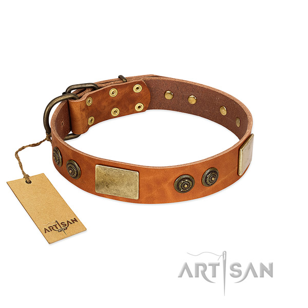 Fashionable full grain genuine leather dog collar for easy wearing