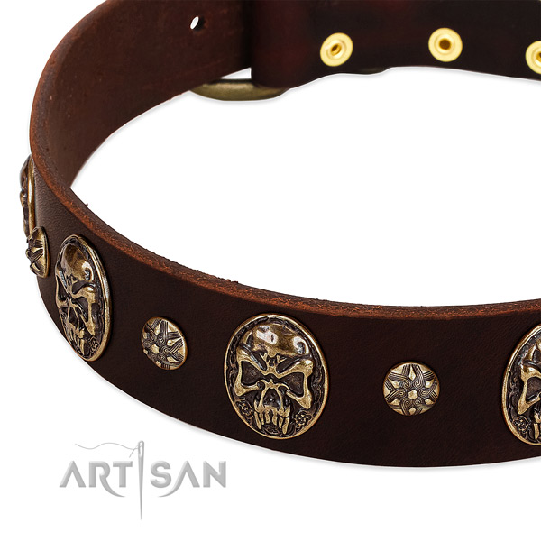 Strong traditional buckle on genuine leather dog collar for your dog