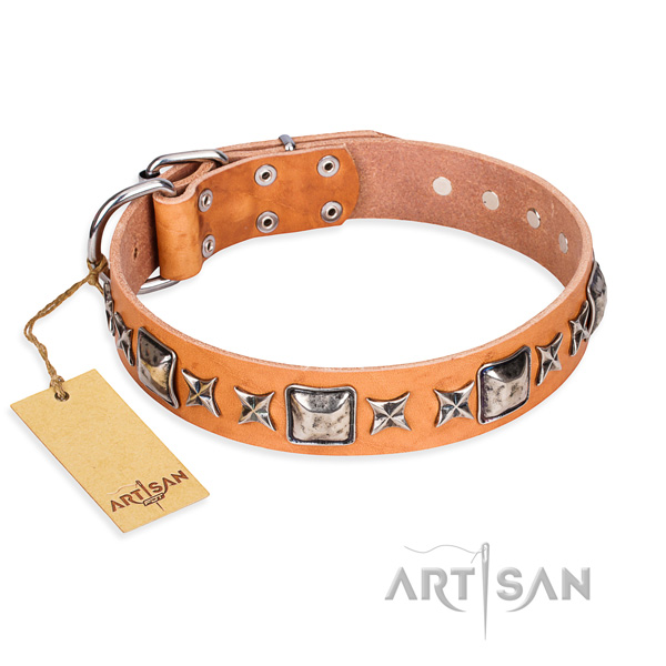 Basic training dog collar of fine quality leather with adornments