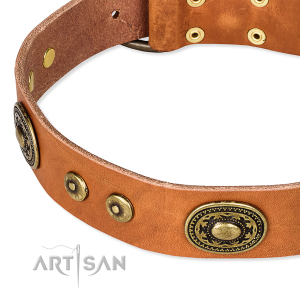Genuine leather dog collar made of reliable material with decorations