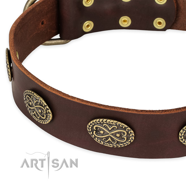 Handcrafted genuine leather collar for your stylish dog