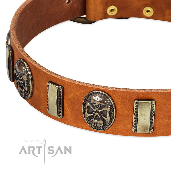 Corrosion resistant fittings on full grain leather dog collar for your dog