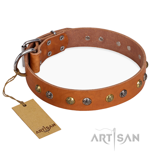 Comfy wearing stylish design dog collar with reliable fittings