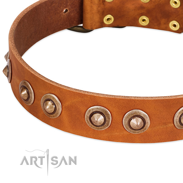 Rust resistant traditional buckle on leather dog collar for your dog
