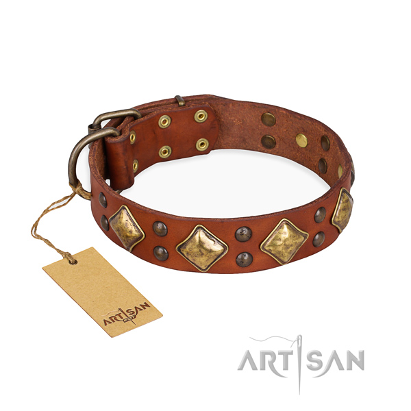Everyday walking remarkable dog collar with rust resistant buckle
