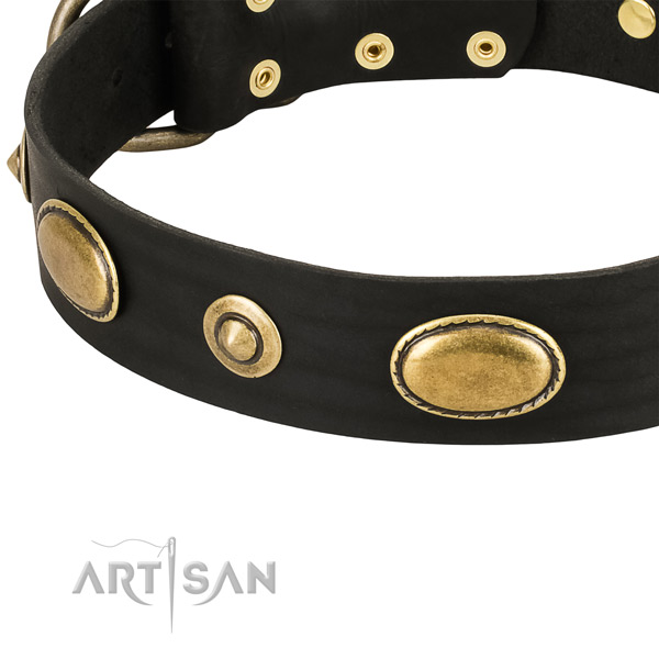 Strong adornments on full grain natural leather dog collar for your four-legged friend