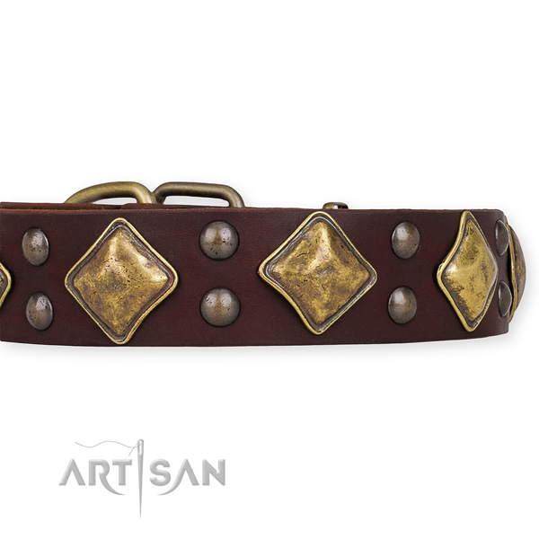 Full grain leather dog collar with exceptional strong studs
