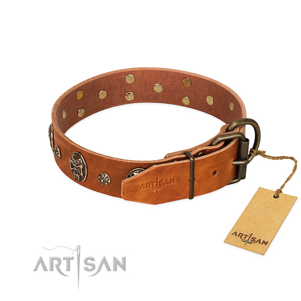 Rust-proof traditional buckle on full grain natural leather dog collar for your pet