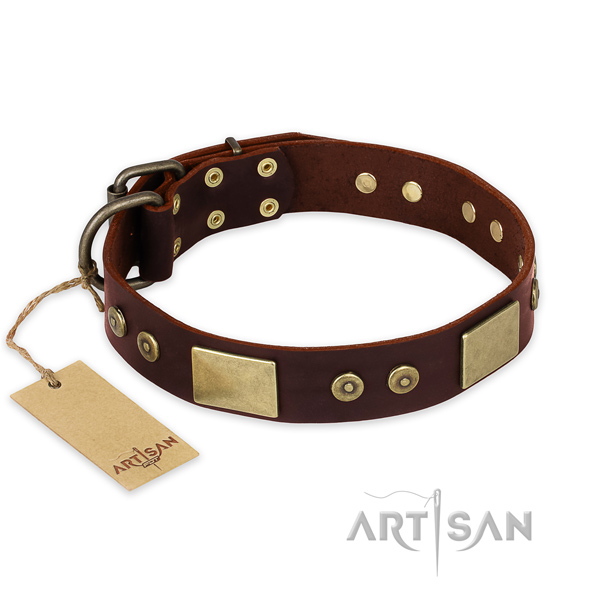 Significant leather dog collar for stylish walking