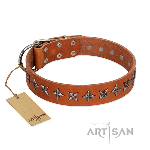 Comfy wearing dog collar of fine quality natural leather with decorations