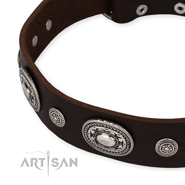 Top notch full grain leather dog collar handmade for your impressive four-legged friend