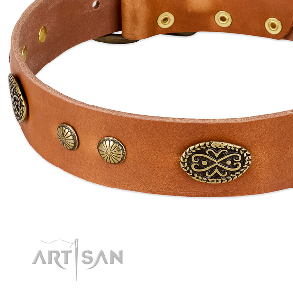 Rust resistant traditional buckle on genuine leather dog collar for your four-legged friend