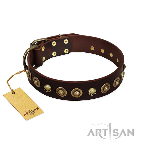Full grain leather collar with exquisite studs for your four-legged friend