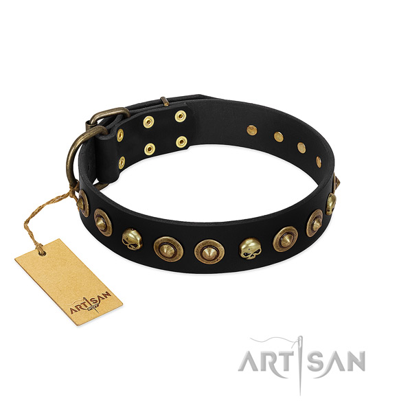 Full grain genuine leather collar with incredible embellishments for your pet