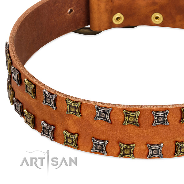 High quality full grain leather dog collar for your beautiful doggie