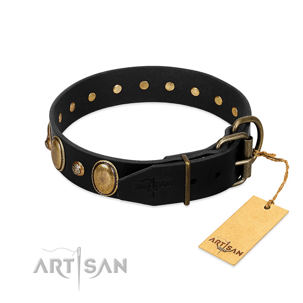 Reliable buckle on leather collar for daily walking your pet