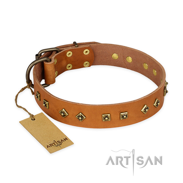 Stunning natural leather dog collar with rust-proof fittings