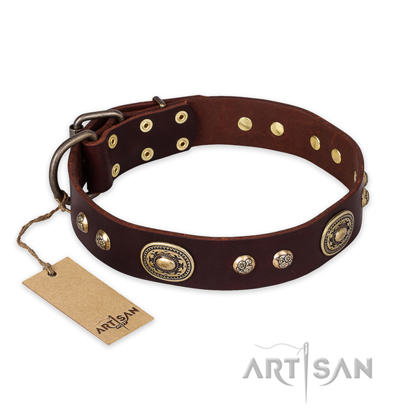 Decorated full grain genuine leather dog collar for basic training