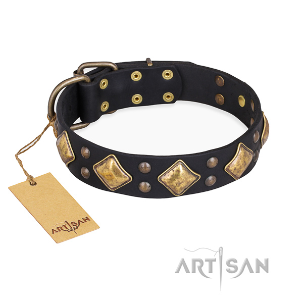 Comfy wearing exquisite dog collar with strong fittings
