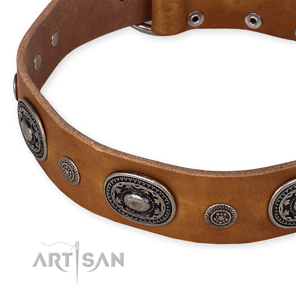 Strong full grain leather dog collar created for your beautiful dog