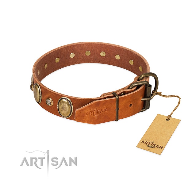 Impressive genuine leather dog collar with corrosion resistant D-ring