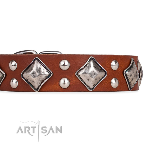 Full grain natural leather dog collar with impressive corrosion resistant decorations