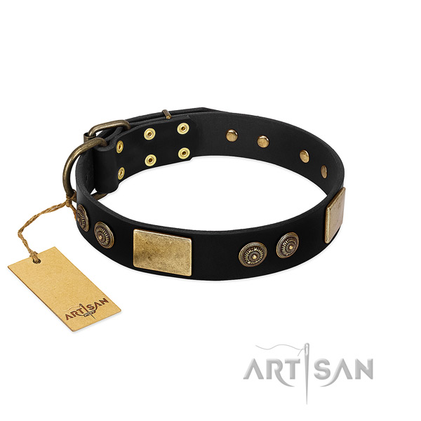 Durable embellishments on full grain genuine leather dog collar for your four-legged friend