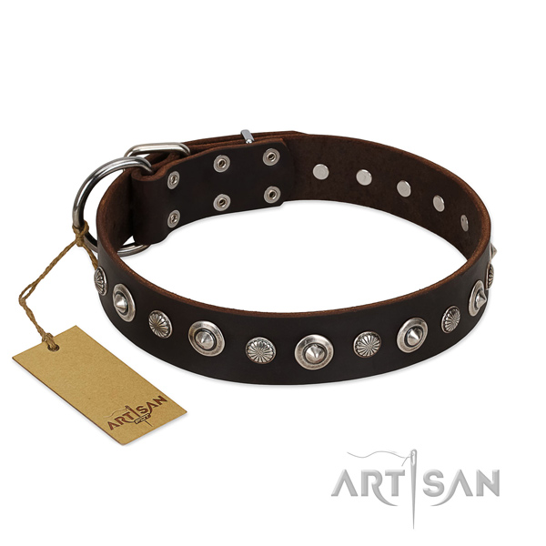 Top quality leather dog collar with unique adornments