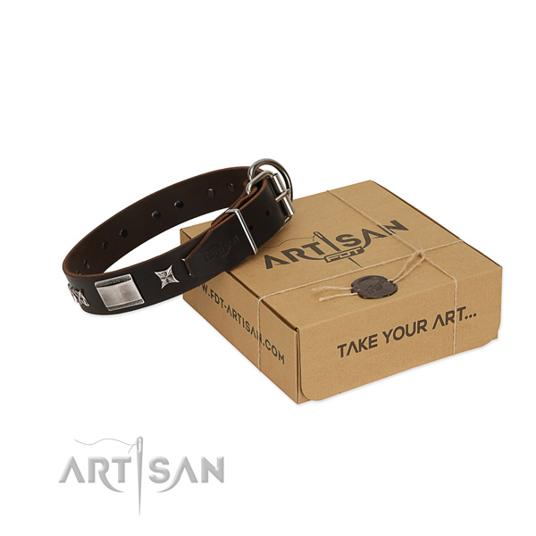 Trendy collar of full grain genuine leather for your handsome dog