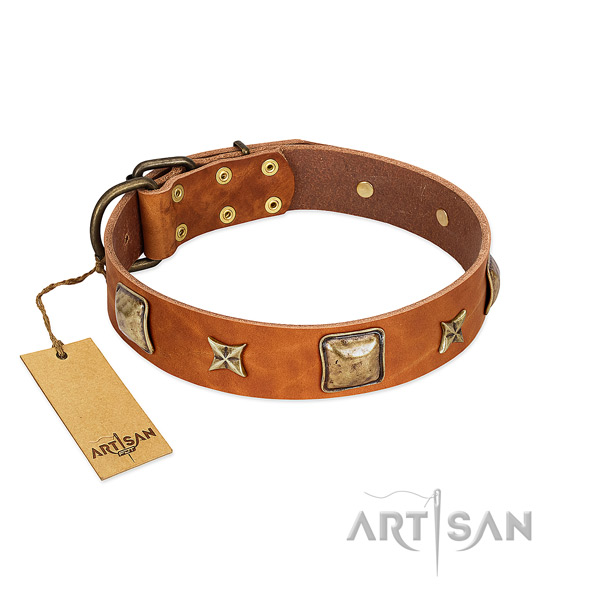 Stunning full grain natural leather collar for your four-legged friend