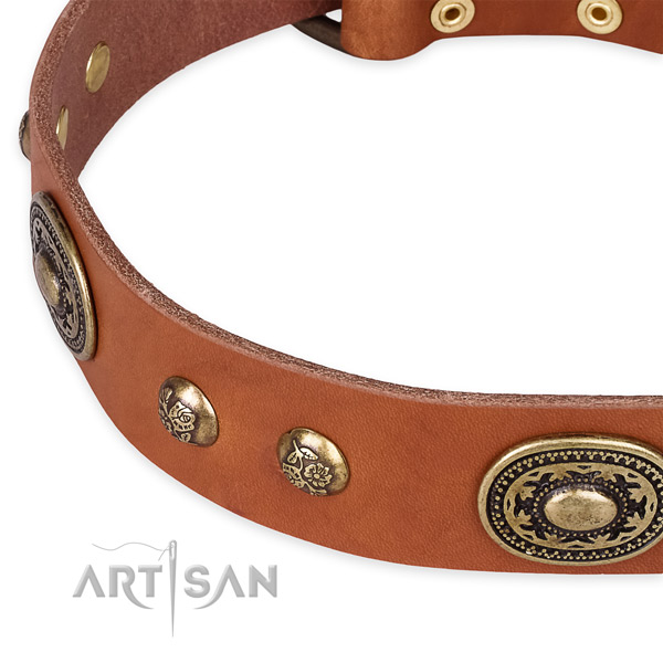 Adjustable genuine leather collar for your handsome dog