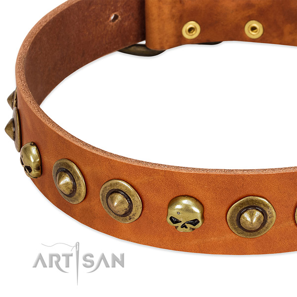 Fashionable decorations on full grain genuine leather collar for your doggie