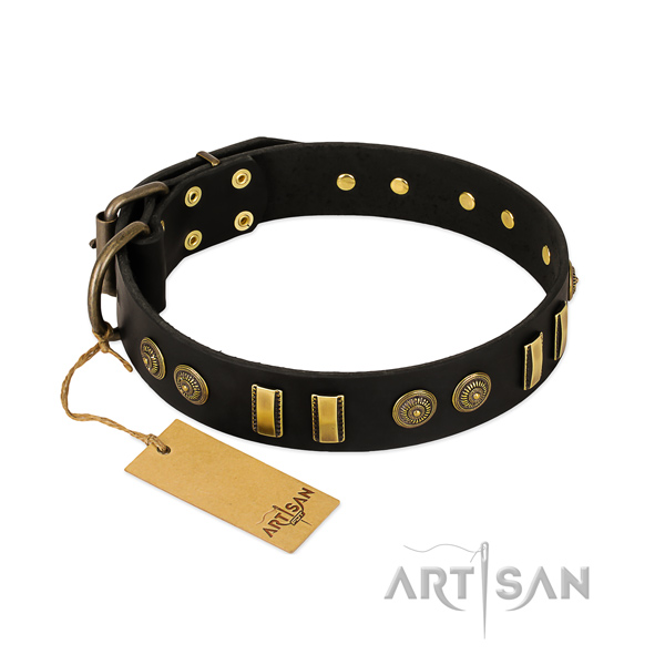 Strong adornments on natural leather dog collar for your four-legged friend
