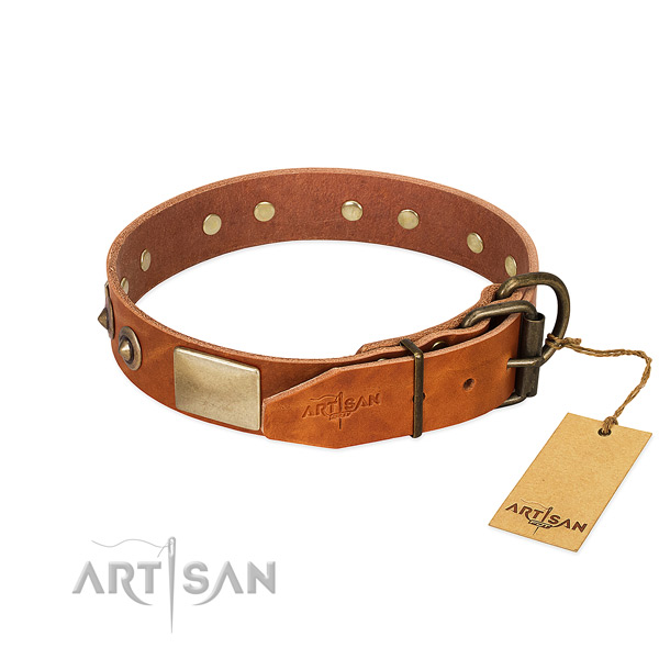 Reliable buckle on stylish walking dog collar