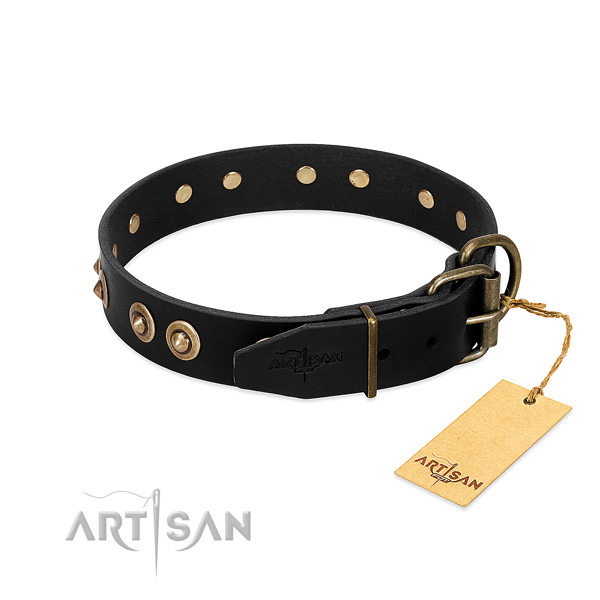 Rust-proof studs on full grain genuine leather dog collar for your canine