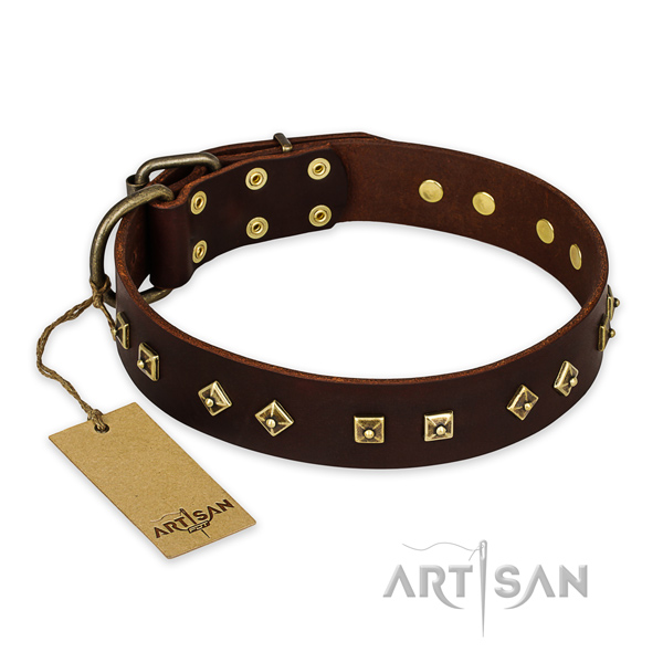Handcrafted leather dog collar with corrosion resistant D-ring