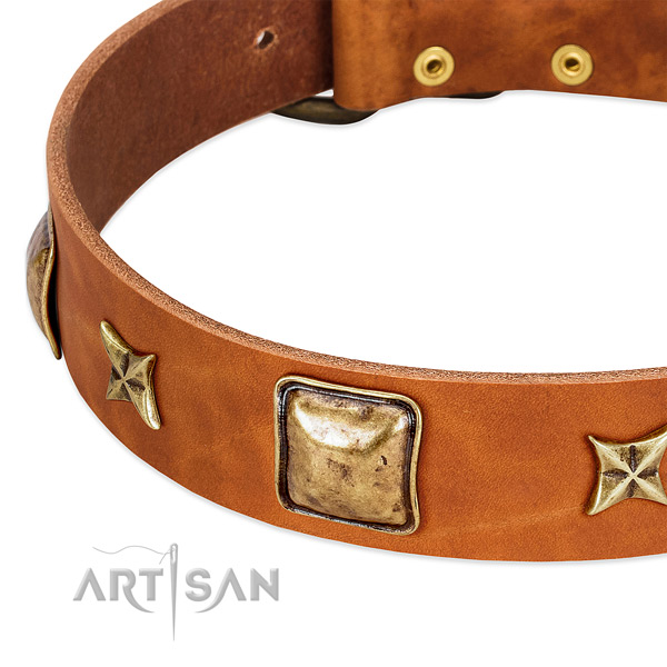 Durable embellishments on full grain leather dog collar for your four-legged friend