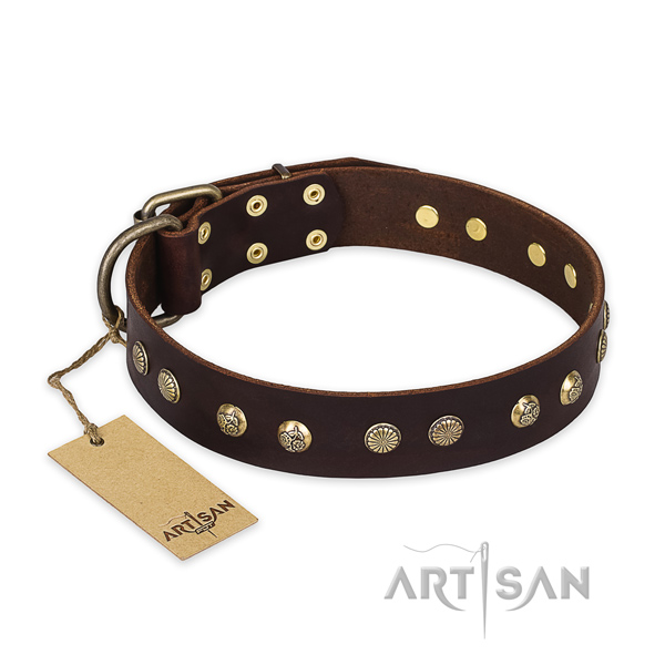 Remarkable full grain leather dog collar with reliable traditional buckle