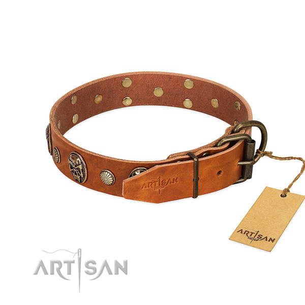 Durable D-ring on leather collar for everyday walking your pet