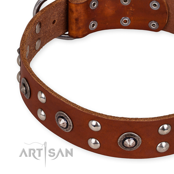 Genuine leather collar with rust resistant buckle for your lovely pet