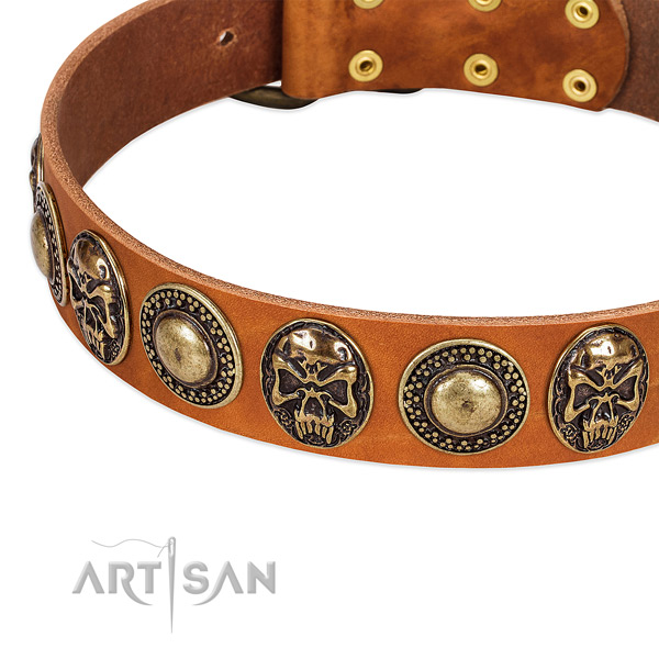 Corrosion proof embellishments on full grain leather dog collar for your doggie