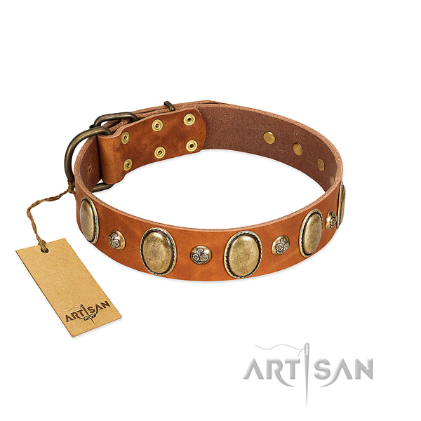 Full grain natural leather dog collar of flexible material with top notch adornments